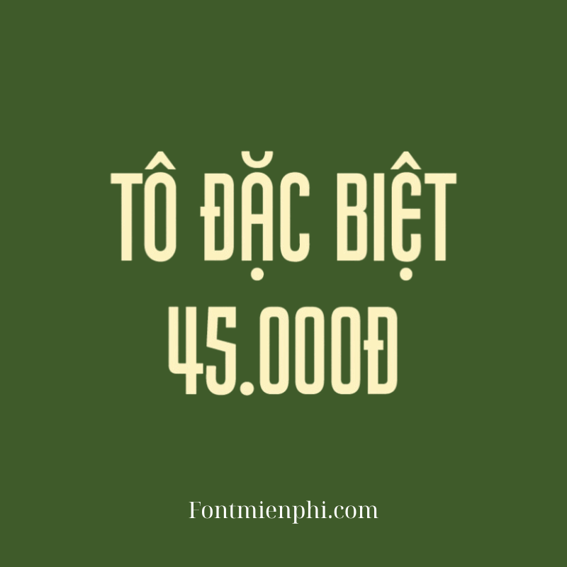 Font Việt hóa 1FTV VIP Pretender