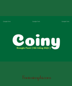 Font Việt hóa Coiny