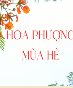 Font Việt hóa FMP Super Pulp