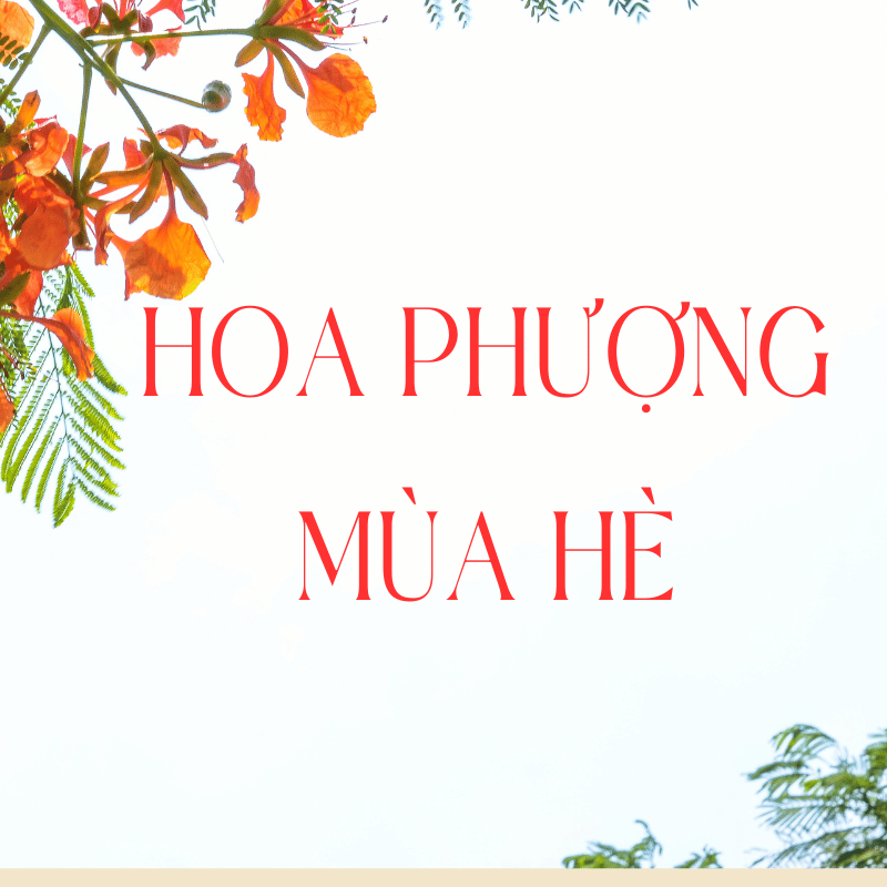 Font Việt hóa FMP Super Pulp