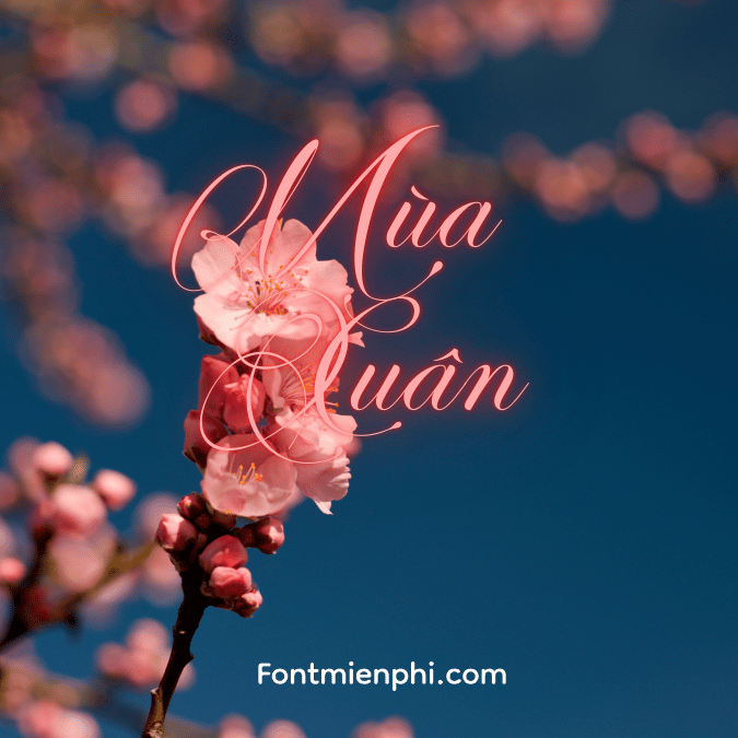 Font Việt hóa 1FTV VIP Perfecto Calligraphy ,Font tết