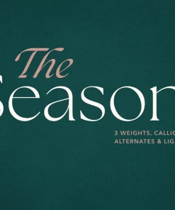 Font việt Hóa Font The Seasons